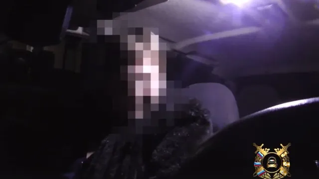 На Ставрополье пьяная женщина называла автоинспектора «заей» и мешала оформлять протокол