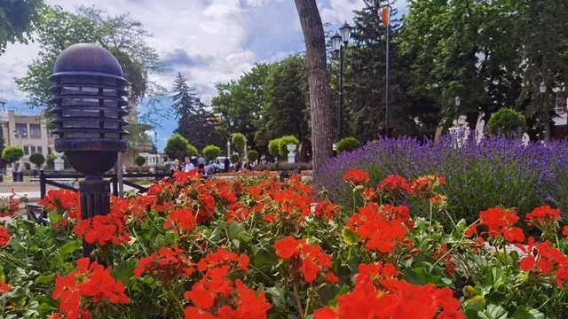 В Пятигорске до 12 июня продлится обновление клумб