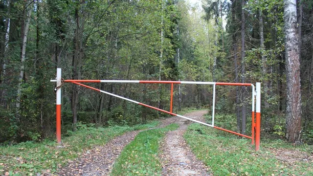 В Кисловодске перекроют несанкционированные съезды в лес