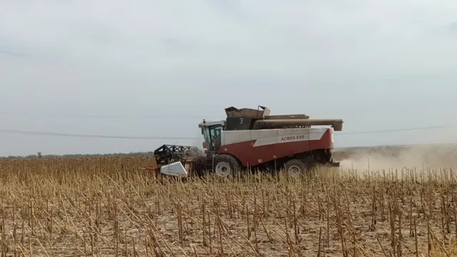 Уборка подсолнечника завершается на Ставрополье