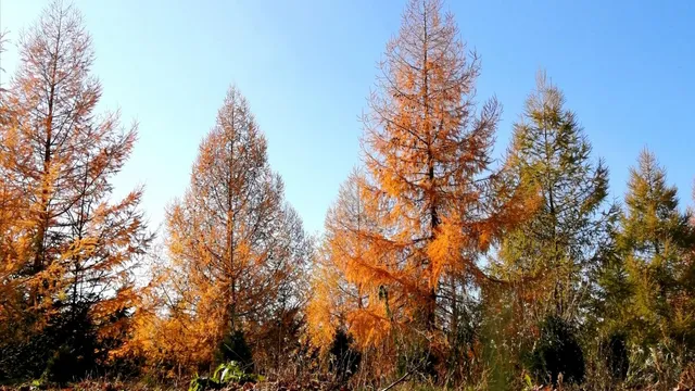 На Ставрополье потеплеет