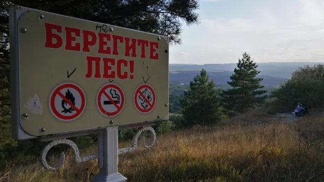 План борьбы с лесными пожарами на Ставрополье прошёл экспертизу МЧС