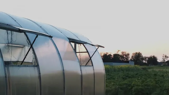 Тепличное овощеводство - одно из динамично развивающихся направлений растениеводства Ставрополья