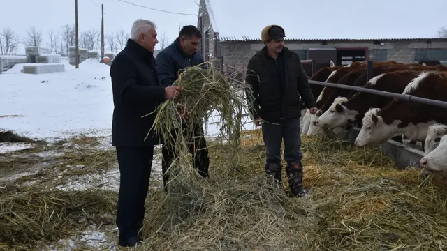В Новоселицком округе Ставрополья реализуют инвестпроект по молочному животноводству