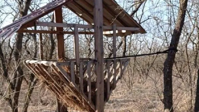 В охотничьих хозяйствах Ставрополья подкармливают диких животных и птиц