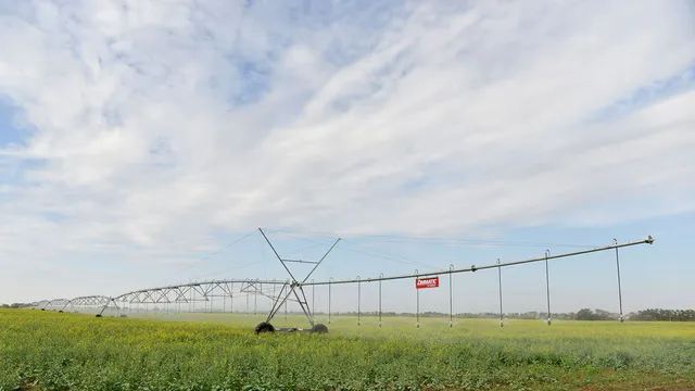 Новые системы орошения создадут на 650 гектарах в Ипатовском округе Ставрополья