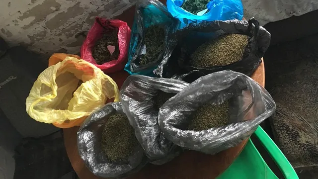 У жителя Степновского района полицейские нашли килограмм марихуаны